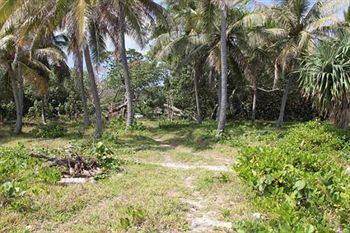 Alofa Beach Bungalows Lénakel Dış mekan fotoğraf