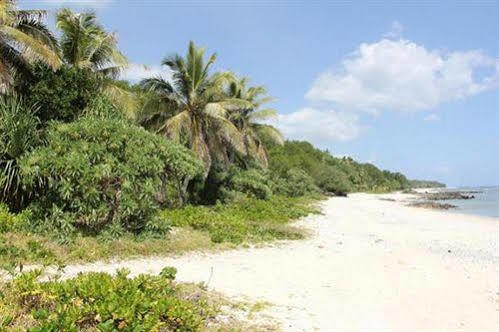 Alofa Beach Bungalows Lénakel Dış mekan fotoğraf